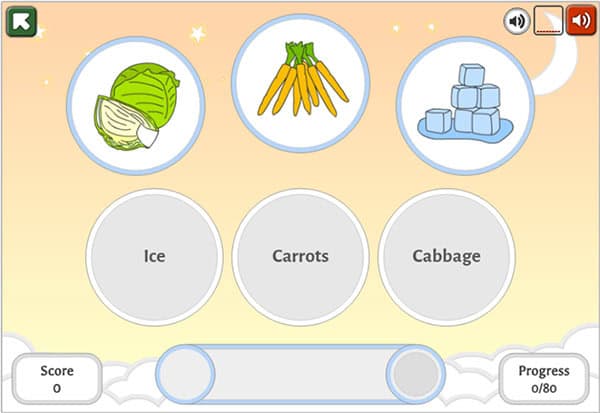 An educational game screen showing images of cabbage, carrots, and ice cubes with matching labels "Cabbage," "Carrots," and "Ice" below. Score and progress indicators are at the bottom.