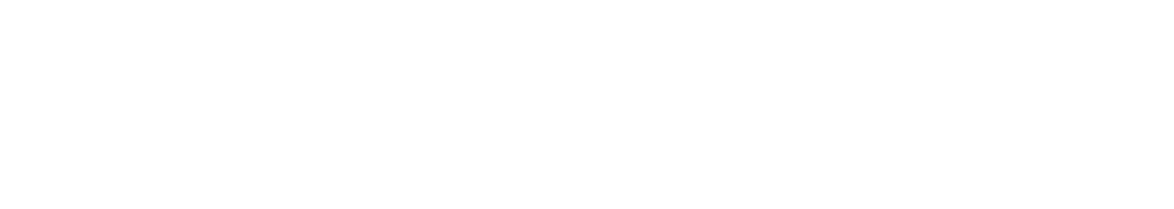 White logo on black background. Left side features a stylized tree design next to the word "TIES." Right side reads "Literacy Centre of Expertise" in bold, clear text.