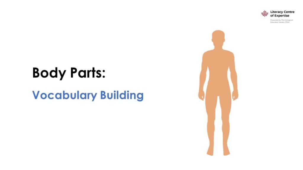 Slide with the title "Body Parts: Vocabulary Building" and a simple illustration of a human figure. The Literacy Centre of Expertise logo is in the top right corner.