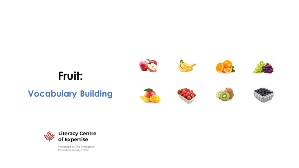 Slide titled "Fruit: Vocabulary Building" shows images of an apple, banana, orange, mango, strawberries, kiwi, and blueberries. Literacy Centre of Expertise logo appears at the bottom left.