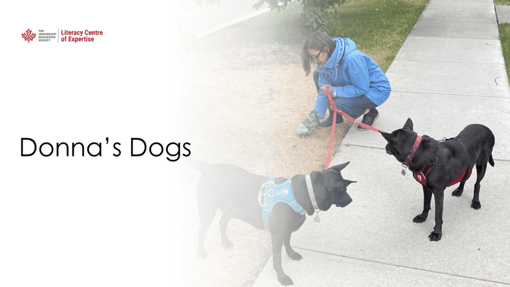 A person in a blue jacket kneels on a sidewalk, holding the leashes of two black dogs facing each other. The text reads "Donna’s Dogs" with Literacy Centre of Expertise branding.