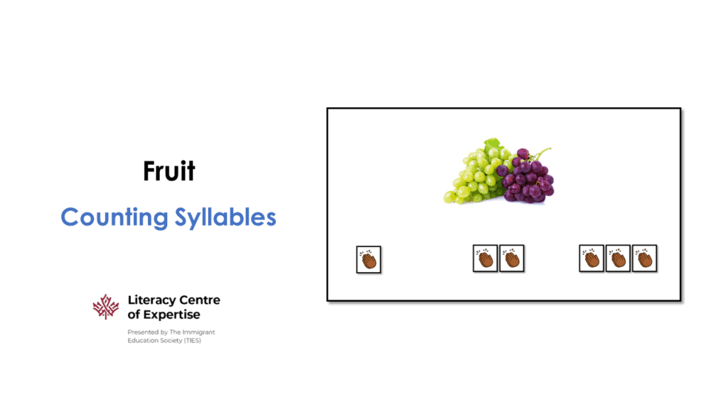 A slide titled "Fruit: Counting Syllables" with an image of green and purple grapes and three boxes, each containing a single acorn. The Literacy Centre of Expertise logo is at the bottom left.
