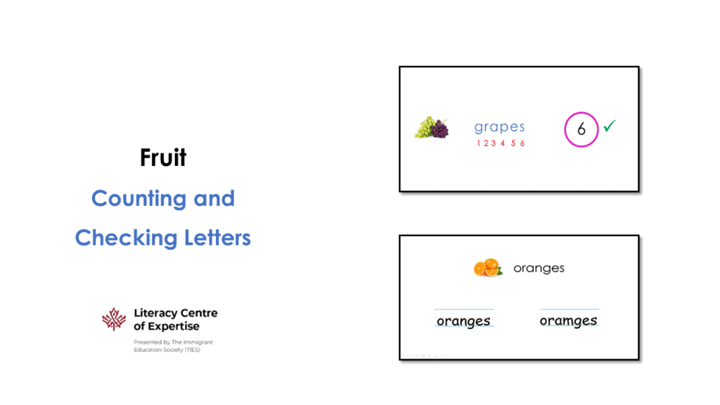 A slide titled "Fruit Counting and Checking Letters" shows images of grapes and oranges with their names and counting/checking exercises. The Literacy Centre of Expertise logo appears in the bottom left corner.